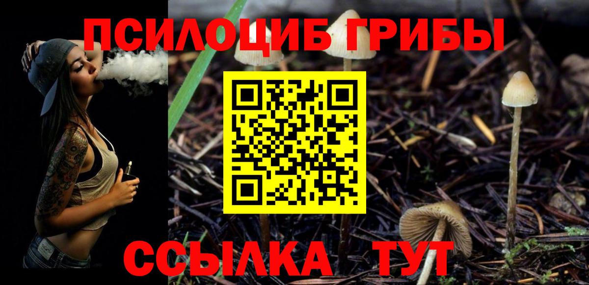 Якутск  Галлюциногенные грибы GOLDEN TEACHER  Вход с VPN 